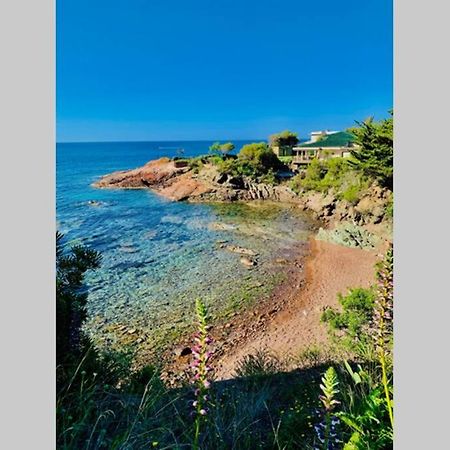 Saint-Raphaël Antheor - Vue Exceptionnelle - Refait A Neuf 4 Couchages 아파트 외부 사진