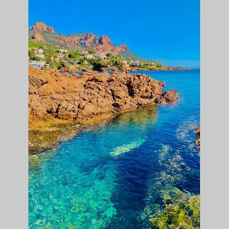 Saint-Raphaël Antheor - Vue Exceptionnelle - Refait A Neuf 4 Couchages 아파트 외부 사진