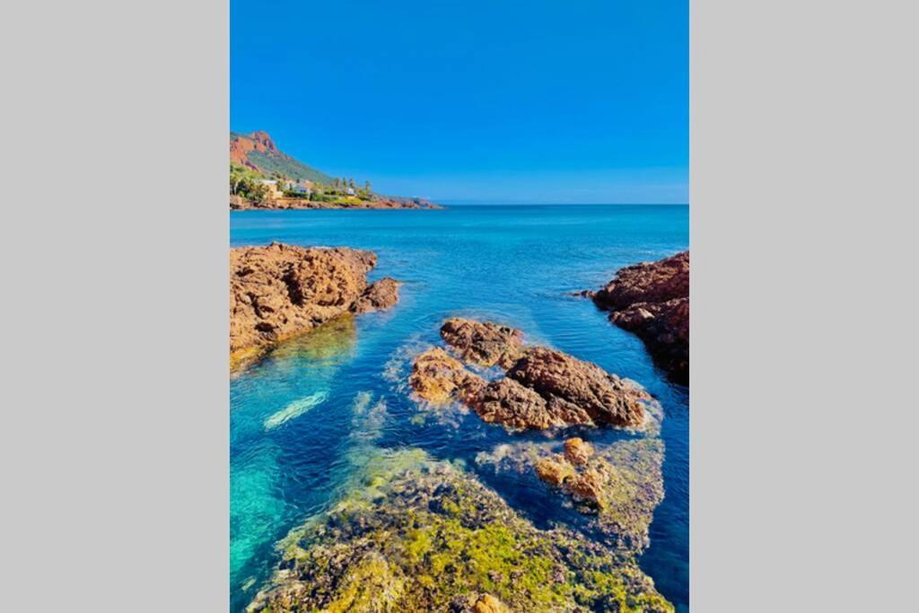 Saint-Raphaël Antheor - Vue Exceptionnelle - Refait A Neuf 4 Couchages 아파트 외부 사진