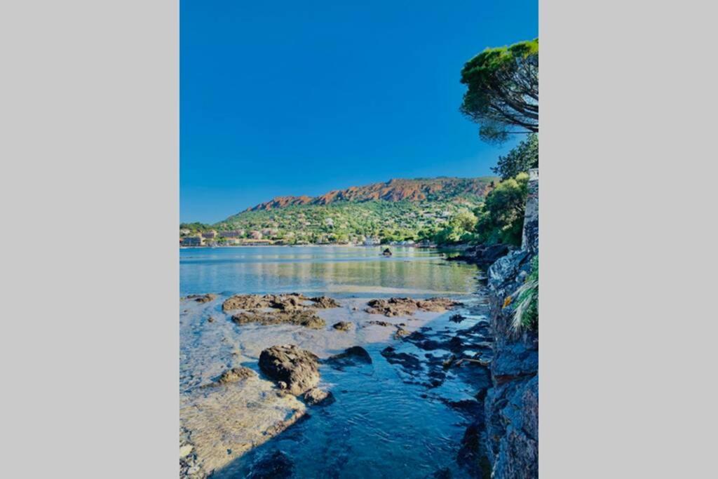 Saint-Raphaël Antheor - Vue Exceptionnelle - Refait A Neuf 4 Couchages 아파트 외부 사진